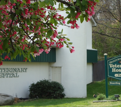 Brandywine Hundred Veterinary Hospital - Wilmington, DE