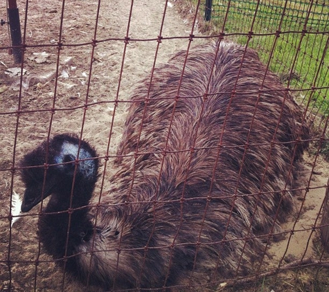 Pettengill Farm - Salisbury, MA