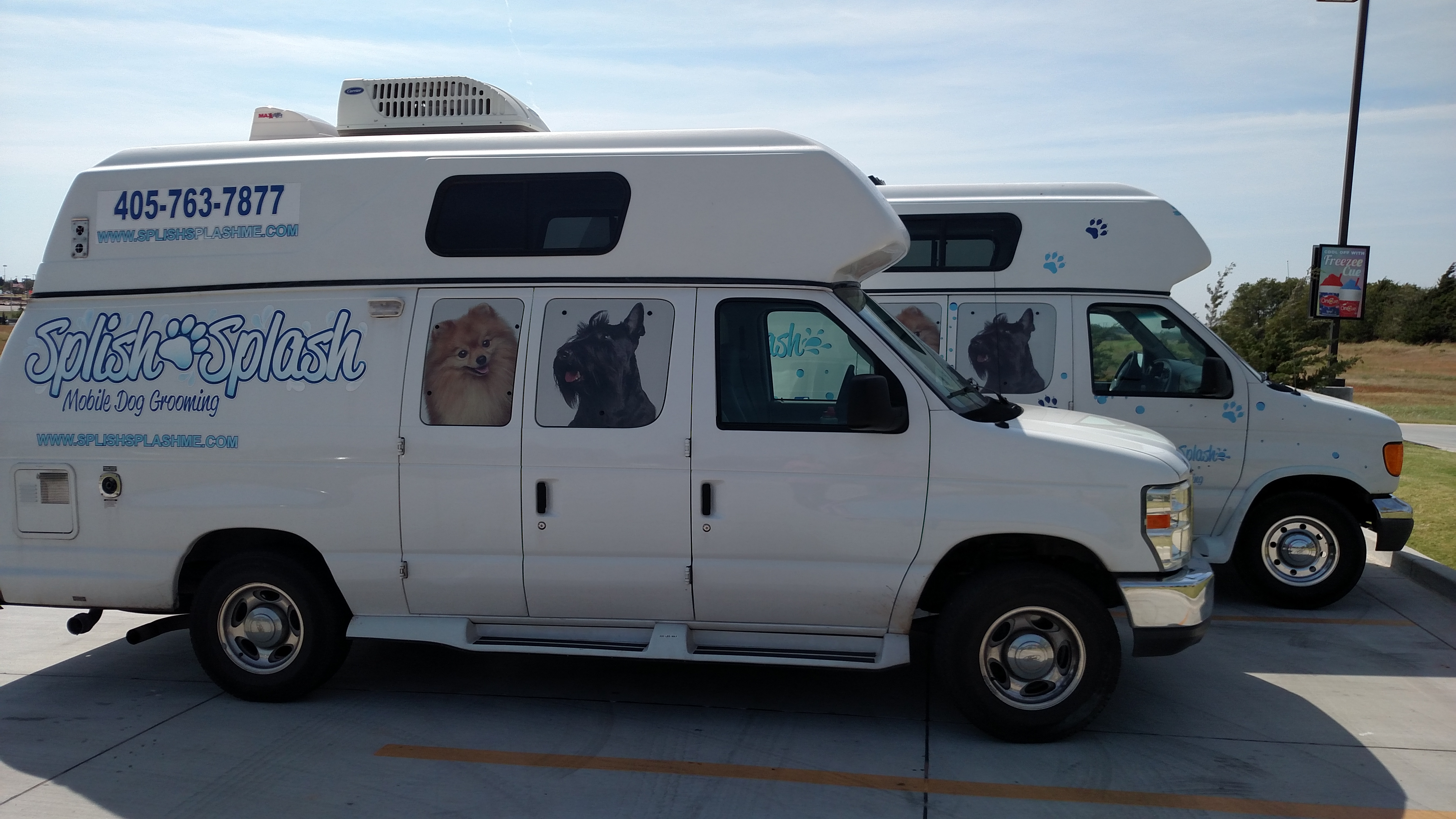 splish splash mobile dog grooming