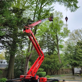 Edwards Tree Service - Amherst, OH