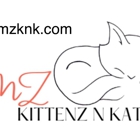 TMZ Kittenz N Katz