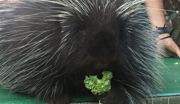 Wildlife Learning Center - Sylmar, CA