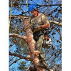 McKee Tree Service