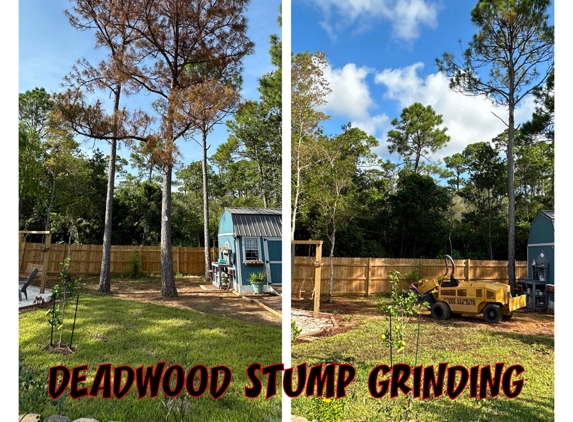 Deadwood Stump Grinding LLC - Navarre, FL