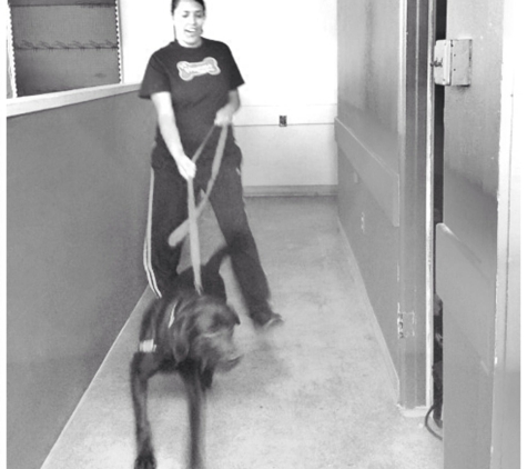 K9 Playtime - San Francisco, CA