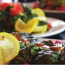 Alie's Lebanese Grill - Middle Eastern Restaurants