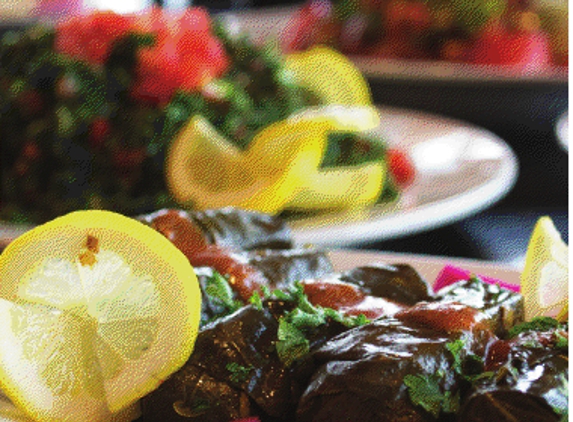 Alie's Lebanese Grill - Sterling Heights, MI