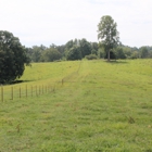 Near and Far Fencing Home and Farm Services