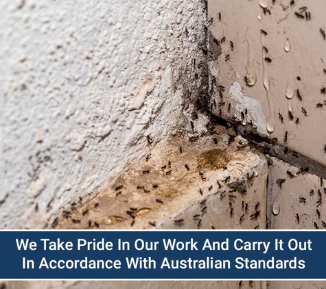 Mr Exterminator - Noarlunga Downs, SA. We Take Pride In Our Work And Carry It Out In Accordance With Australian Standards