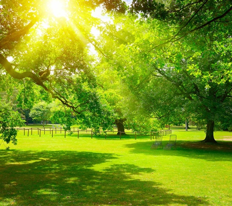 Australian Direct Cremations and Funeral Services - Woy Woy, NSW