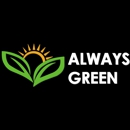 Always Green Carpet Cleaner of Brooklyn - Upholstery Cleaners