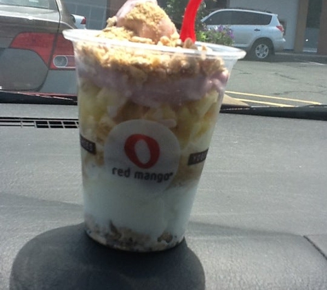 Red Mango - New Hyde Park, NY