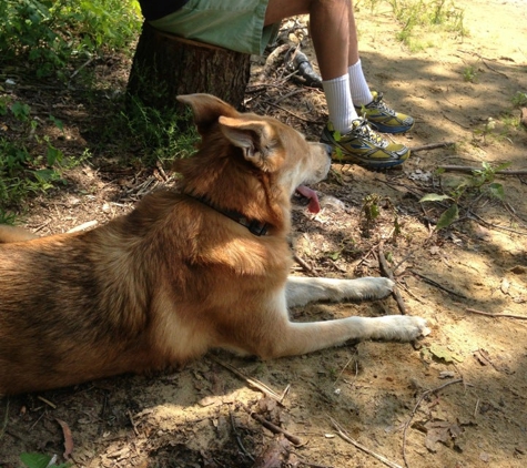 Salt Fork State Park - Lore City, OH