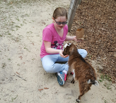 Emerald Coast Wildlife Refuge Zoological Park - Crestview, FL. Baby Gabby, the goat, was our personal tour guide. She had just had a bath and was so fluffy and sweet ♡