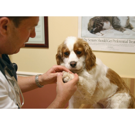 Wynnum Manly Vet Hospital - Wynnum, QLD