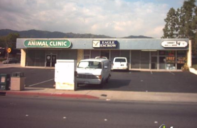 elwood veterinary clinic