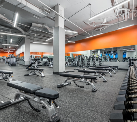 Blink Fitness - Brooklyn, NY