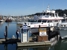Island Adventures Whale Watching - Boat Rental & Charter