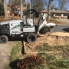 Southern Stump Removal gallery