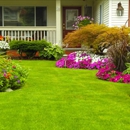 A 1 Lawn & Maintenance - Lawn Maintenance