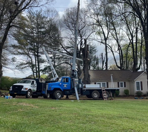 Chester Tree Care - Hickory, NC