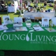 Youngliving essential oils