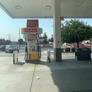 Photo #11