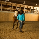Detersmination Equestrian Center - Horse Training