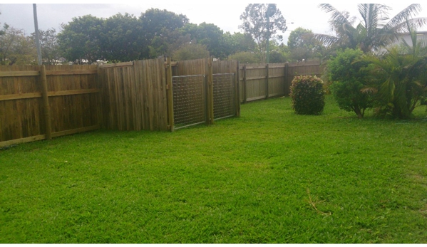 Hammett Street Veterinary Surgery - Currajong, QLD