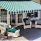 Sun Solutions Awnings & Screens