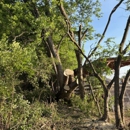 Victory One Tree Service & Stump Grinding - Tree Service