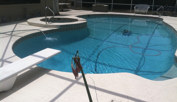 Deluxe Pool Service - Largo, FL
