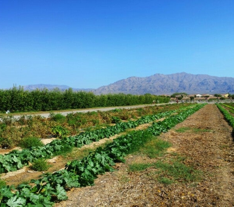 Gilcrease Orchard - Las Vegas, NV