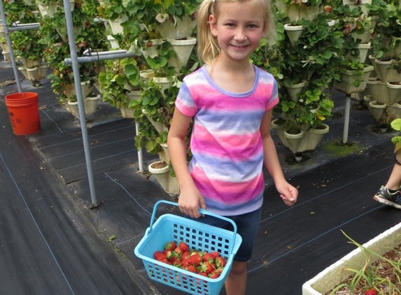 Hydro Harvest Farms - Ruskin, FL