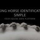 Equicommerce - Horse Equipment & Services