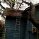 Budine Tree Service