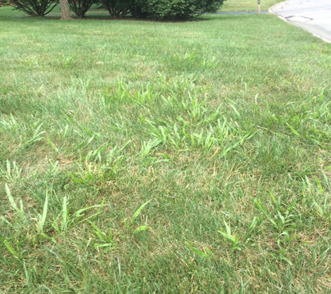 Royse Lawn Care - Batavia, OH