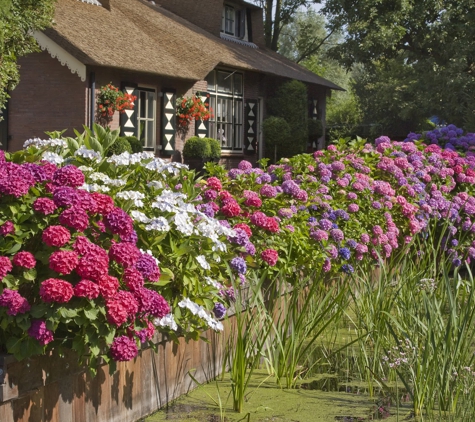 Fast Growing Trees - Fort Mill, SC