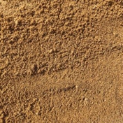 Gallery Image Number 1