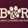 B&R Carpet Cleaning and More