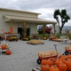 Gail's Pumpkin Patch