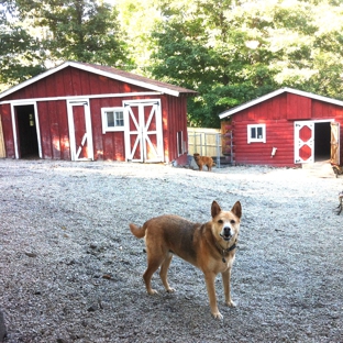 Dogwood Pet Lodge - West Camp, NY