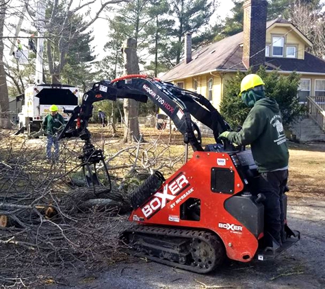 Bumblebee Tree Service & Landscape Design LLC - Washington Township, NJ