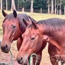 WildeWood Farm, Inc. - Employment Training