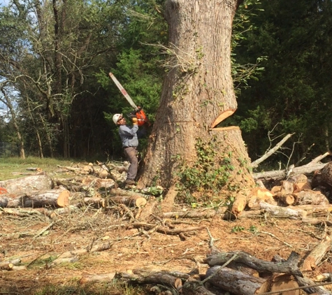 Keener Tree Service, LLC - Salisbury, NC