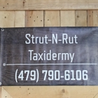 Strut-N-Rut Taxidermy