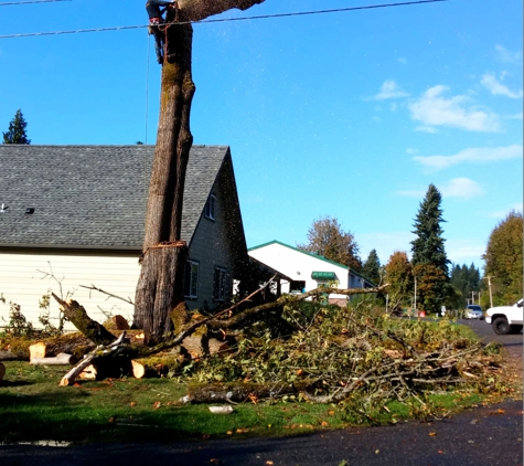 Pacific Northwest Tree Services - Olympia, WA