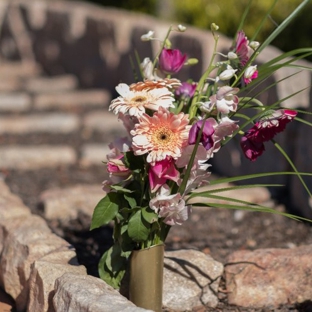Macarthur Lady Funerals - Campbelltown, NSW