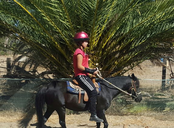 Ponies R US - Sonoma, CA. Pony rides, great way to build confidence in yourself. Ponies teach you to live well, be a leader and enjoy a comfort with animals.