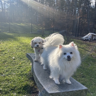 Puppy's Paradise Home Boarding - Norfolk, MA